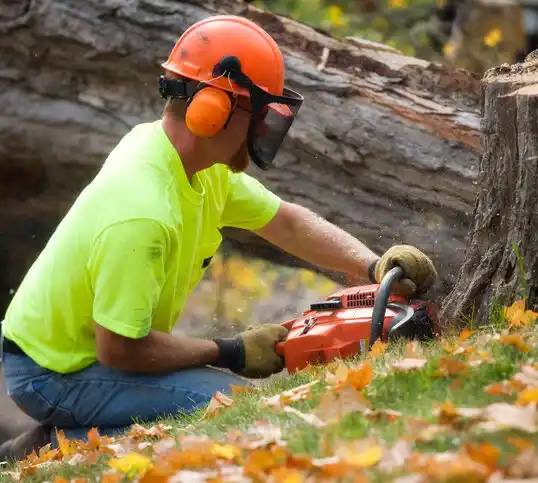 tree services Grant